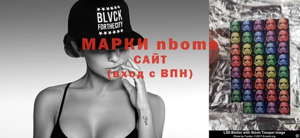 шишки Надым