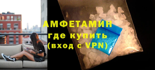 шишки Надым