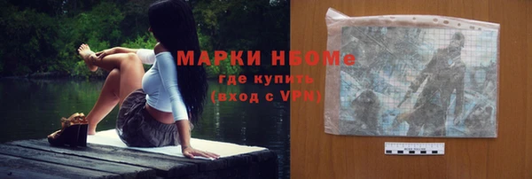 шишки Надым