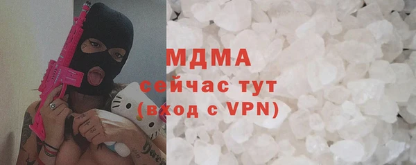шишки Надым