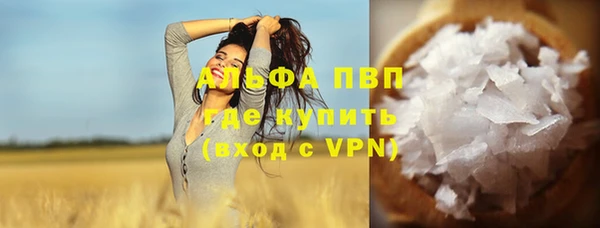 шишки Надым
