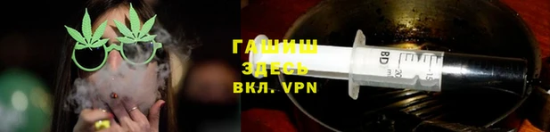 шишки Надым