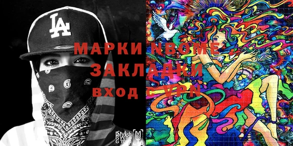 шишки Надым