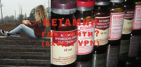 шишки Надым