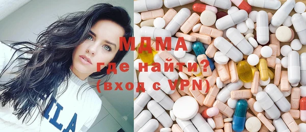 шишки Надым