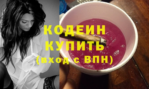 шишки Надым