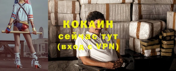 шишки Надым