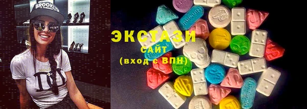 шишки Надым