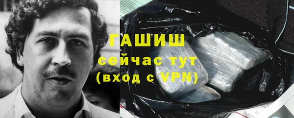 шишки Надым