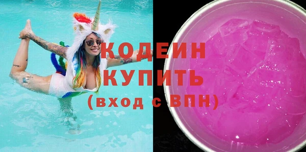 шишки Надым