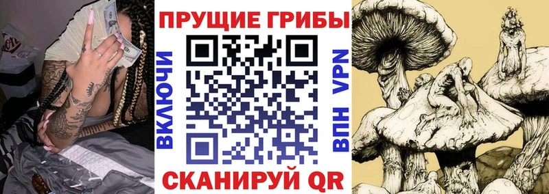 Галлюциногенные грибы Psilocybe ОМГ ОМГ как зайти Уссурийск